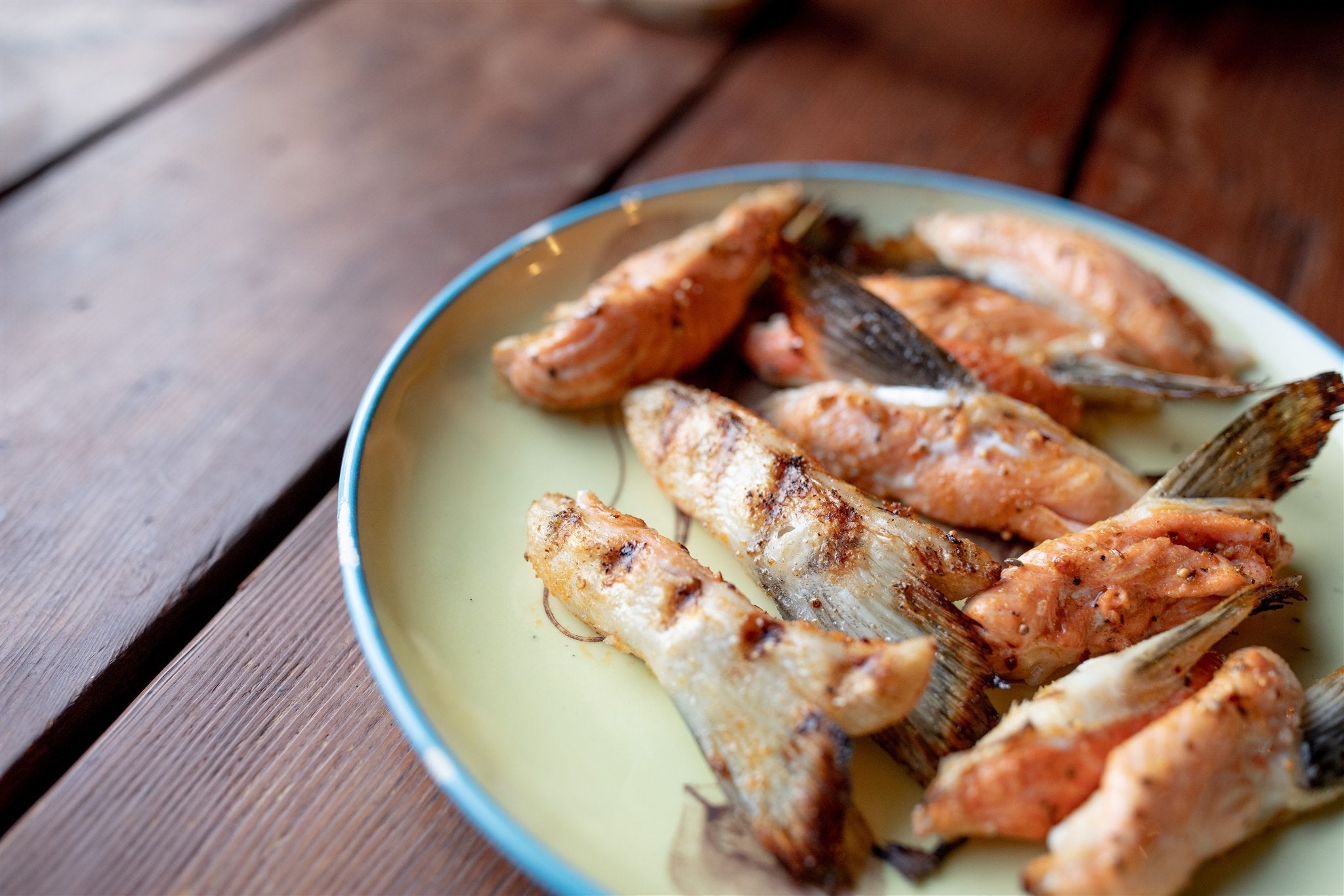 Salmon Wings (Fall)